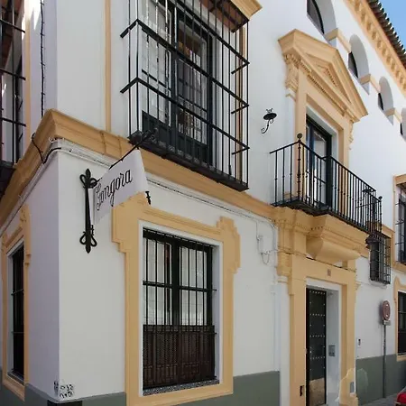Casa De Tintes Apartment Seville